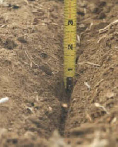 Seed furrow excavated in no till planting