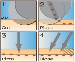 Seed placement steps no till farming